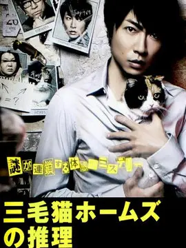 三花猫福尔摩斯的推理海报