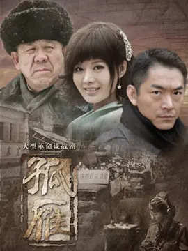 孤雁海报