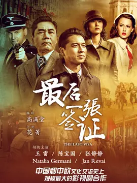 最后一张签证海报