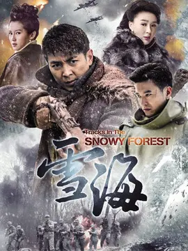 雪海海报