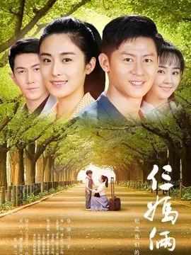 我的仨妈俩爸海报