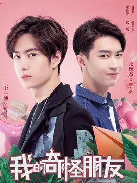 我的奇怪朋友海报