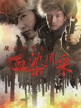 战火中青春之血染风采海报