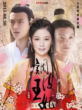 调皮王妃海报
