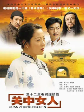关中女人海报