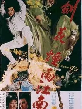 剑花烟雨江南海报