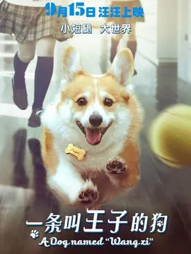 一条叫王子的狗海报