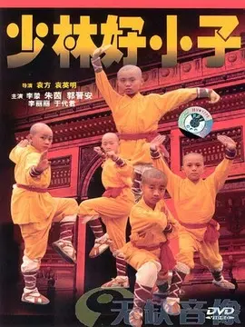 少林好小子海报