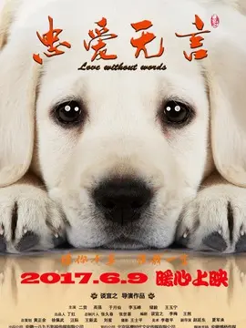 忠爱无言海报