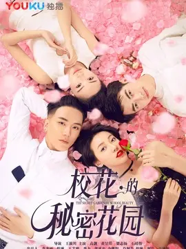 校花的秘密花园海报