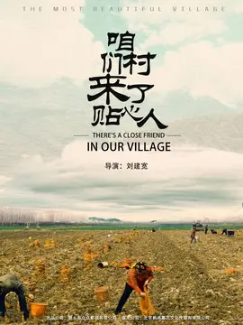 咱们村来了贴心人海报