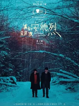 我的朋友安德烈海报