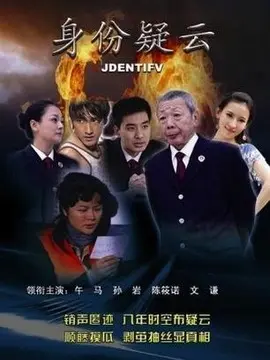 身份疑云海报