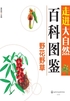 野花野草封面