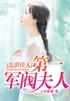 乱世佳人：第一军阀夫人封面