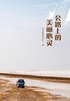公路上的美丽心灵封面