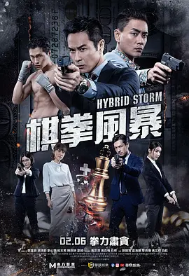 棋拳风暴海报