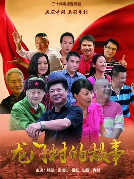 龙门村的故事海报