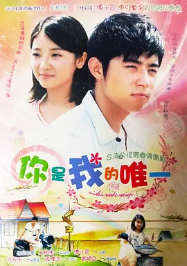 你是我的唯一海报