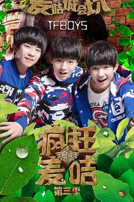 疯狂的麦咭 第三季海报