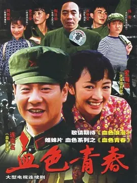 几度菊花香海报