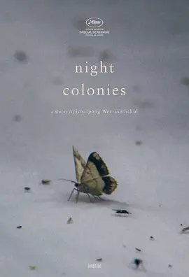 夜间集落 Night Colonies海报