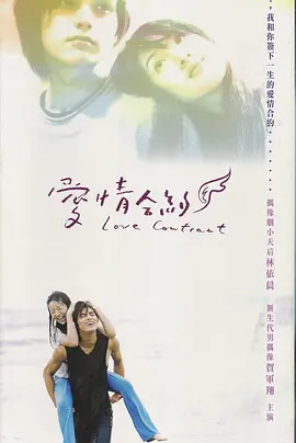 爱情合约海报
