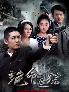 绝命追踪海报