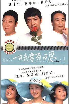 一日夫妻百日恩海报