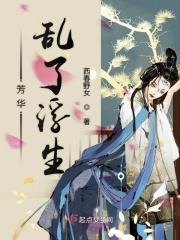芳华乱了浮生封面