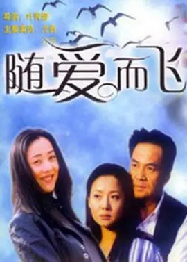随爱而飞海报