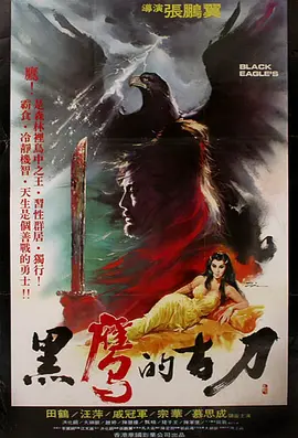 黑鹰的古刀海报