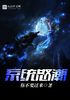 系统怒潮封面