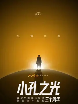 小孔之光海报