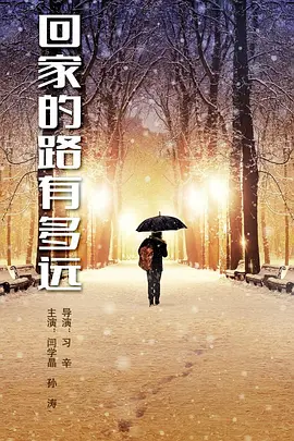 回家的路有多远海报