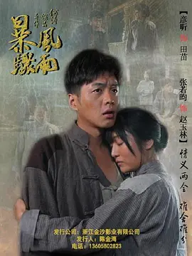 暴风骤雨海报