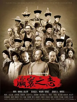 瀛寰之志海报