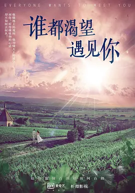 谁都渴望遇见你海报