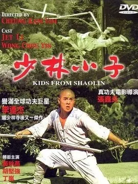 少林小子海报