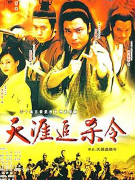 天涯追缉令海报