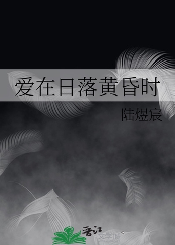 爱在日落黄昏时封面