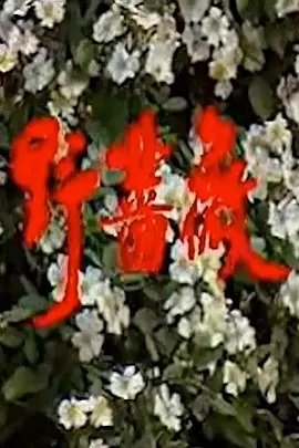 野蔷薇海报