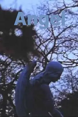 Angel海报