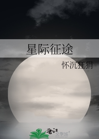 星际征途封面