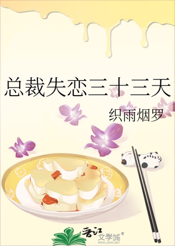 总裁失恋三十三天封面