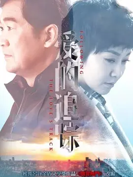 爱的追踪海报
