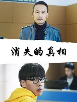 消失的真相海报