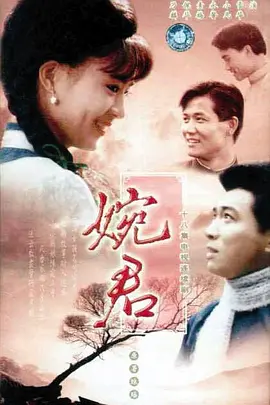 婉君海报