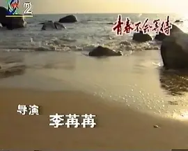青春不会等待海报