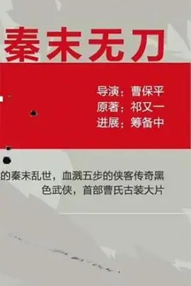 秦末无刀海报